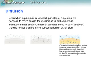 Lesson Overview

Cell Transport

Diffusion
Even when equilibrium is reached, particles of a solution will
continue to move across the membrane in both directions.
Because almost equal numbers of particles move in each direction,
there is no net change in the concentration on either side.

 