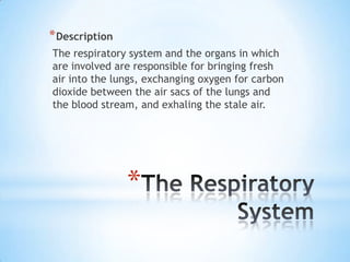 * Description
The respiratory system and the organs in which
are involved are responsible for bringing fresh
air into the lungs, exchanging oxygen for carbon
dioxide between the air sacs of the lungs and
the blood stream, and exhaling the stale air.

*

 