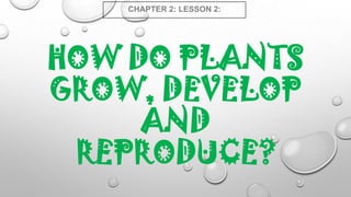 CHAPTER 2: LESSON 2:

HOW DO PLANTS
GROW, DEVELOP
AND
REPRODUCE?

 