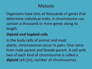 Meiosis
Organisms have tens of thousands of genes that
determine individual traits. A chromosome can
contain a thousand or more genes along its
length.
Diploid and haploid cells
In the body cells of animal and most
plants, chromosomes occur in pairs. One came
from male parent and female parent. A cell with
two of each kind of chromosome is called a
diploid cell (2n), number of chromosomes.

 