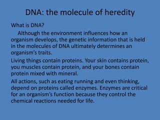 DNA: the molecule of heredity
What is DNA?
Although the environment influences how an
organism develops, the genetic information that is held
in the molecules of DNA ultimately determines an
organism’s traits.
Living things contain proteins. Your skin contains protein,
you muscles contain protein, and your bones contain
protein mixed with mineral.
All actions, such as eating running and even thinking,
depend on proteins called enzymes. Enzymes are critical
for an organism’s function because they control the
chemical reactions needed for life.
 