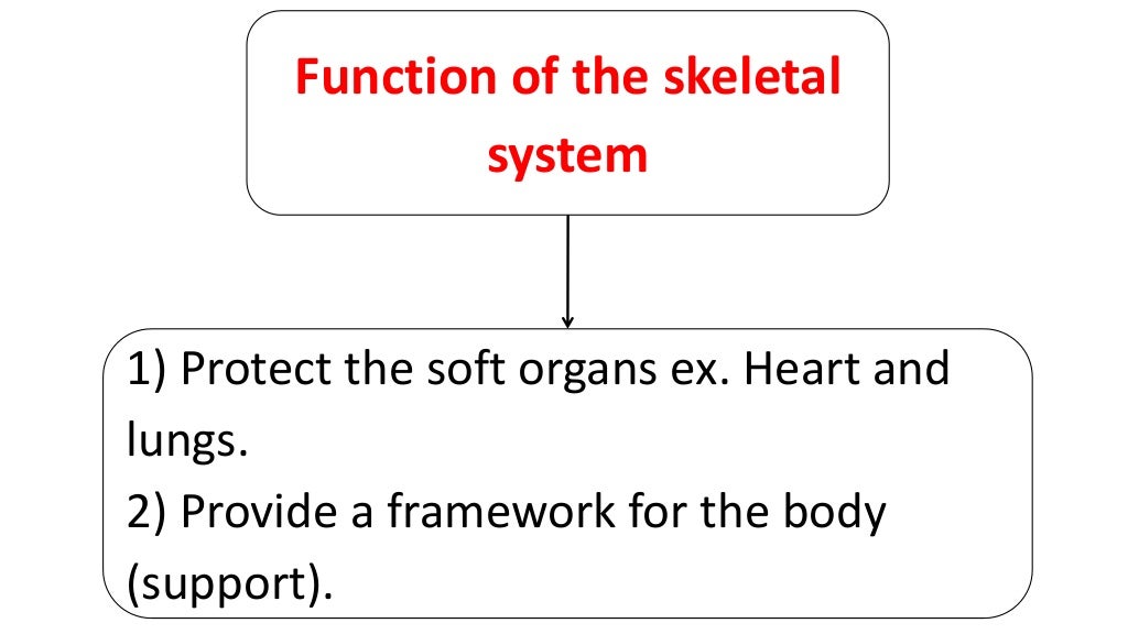 Ch.1.less.5.how do body systems work together to carry out life funct…