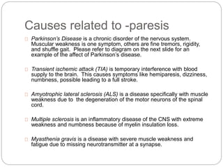 Causes related to -paresis
Parkinson’s Disease is a chronic disorder of the nervous system.
Muscular weakness is one symptom, others are fine tremors, rigidity,
and shuffle gait. Please refer to diagram on the next slide for an
example of the affect of Parkinson’s disease.
Transient ischemic attack (TIA) is temporary interference with blood
supply to the brain. This causes symptoms like hemiparesis, dizziness,
numbness, possible leading to a full stroke.
Amyotrophic lateral sclerosis (ALS) is a disease specifically with muscle
weakness due to the degeneration of the motor neurons of the spinal
cord.
Multiple sclerosis is an inflammatory disease of the CNS with extreme
weakness and numbness because of myelin insulation loss.
Myasthenia gravis is a disease with severe muscle weakness and
fatigue due to missing neurotransmitter at a synapse.
 