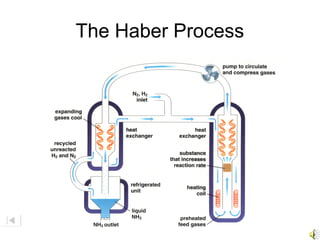 The Haber Process
 