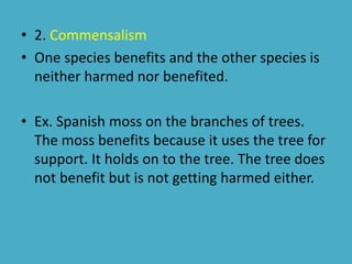 • 2. Commensalism 
• One species benefits and the other species is 
neither harmed nor benefited. 
• Ex. Spanish moss on the branches of trees. 
The moss benefits because it uses the tree for 
support. It holds on to the tree. The tree does 
not benefit but is not getting harmed either. 
 