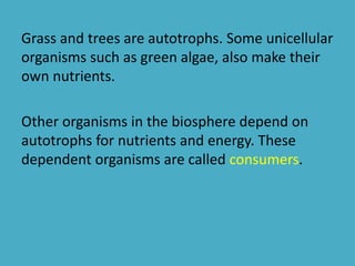 Grass and trees are autotrophs. Some unicellular 
organisms such as green algae, also make their 
own nutrients. 
Other organisms in the biosphere depend on 
autotrophs for nutrients and energy. These 
dependent organisms are called consumers. 
 