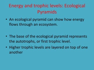 Energy and trophic levels: Ecological 
Pyramids 
• An ecological pyramid can show how energy 
flows through an ecosystem. 
• The base of the ecological pyramid represents 
the autotrophs, or first trophic level. 
• Higher trophic levels are layered on top of one 
another 
 