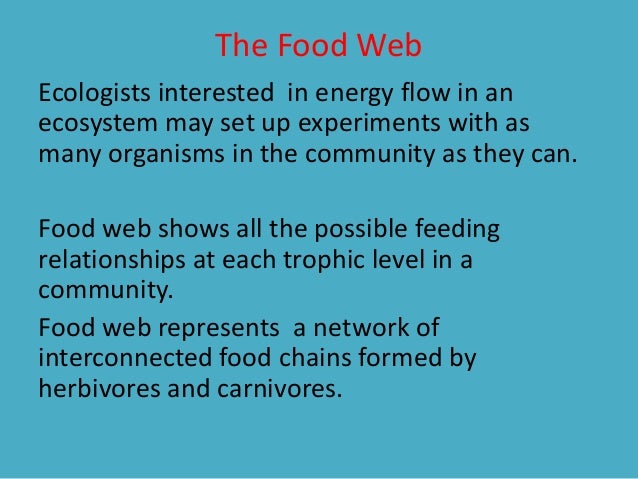 Organism In A Food Chain That Represents A Feeding Step Organism In A Food Chain That Represents A Feeding Step