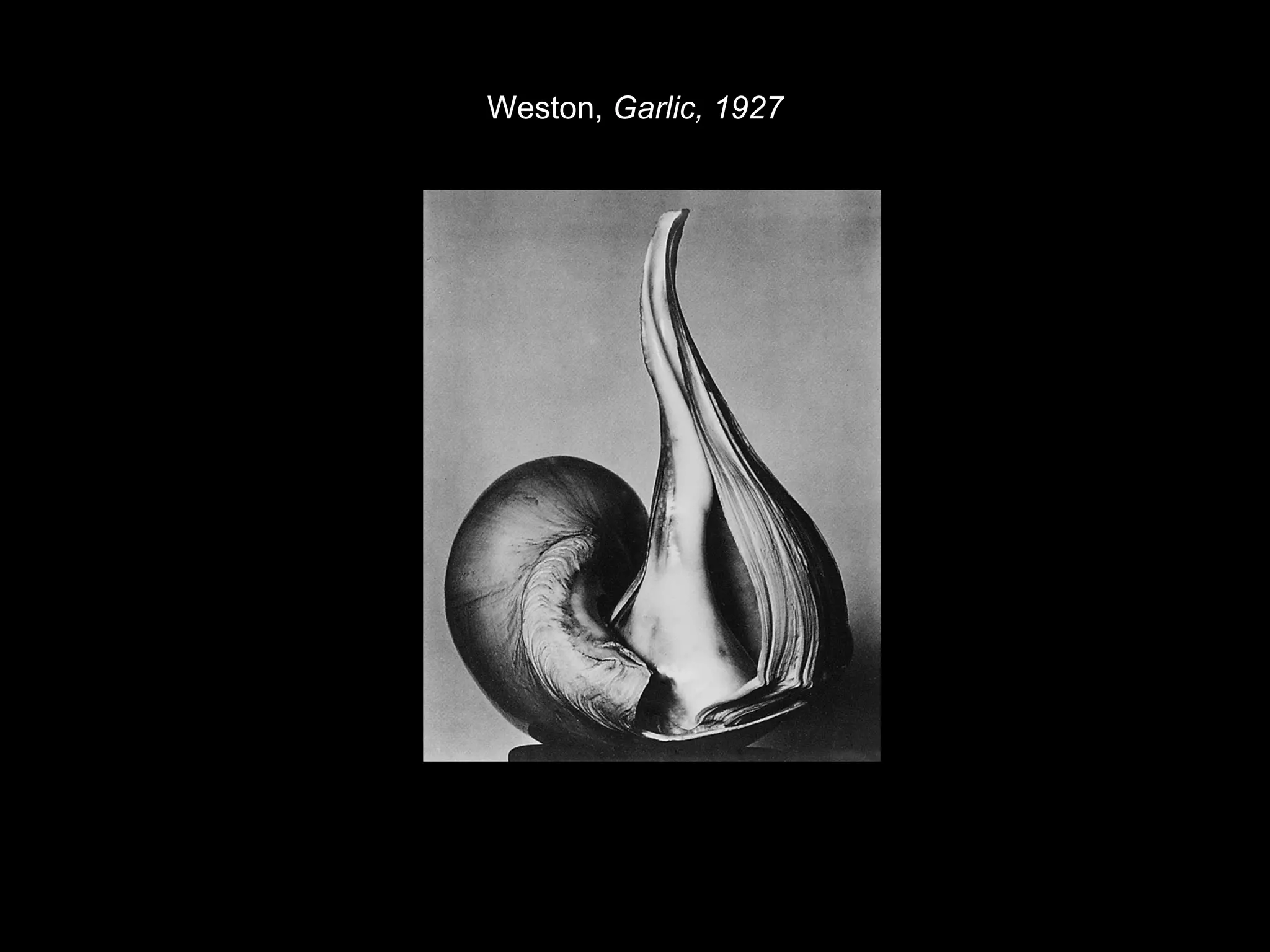 Weston, Garlic, 1927 
 