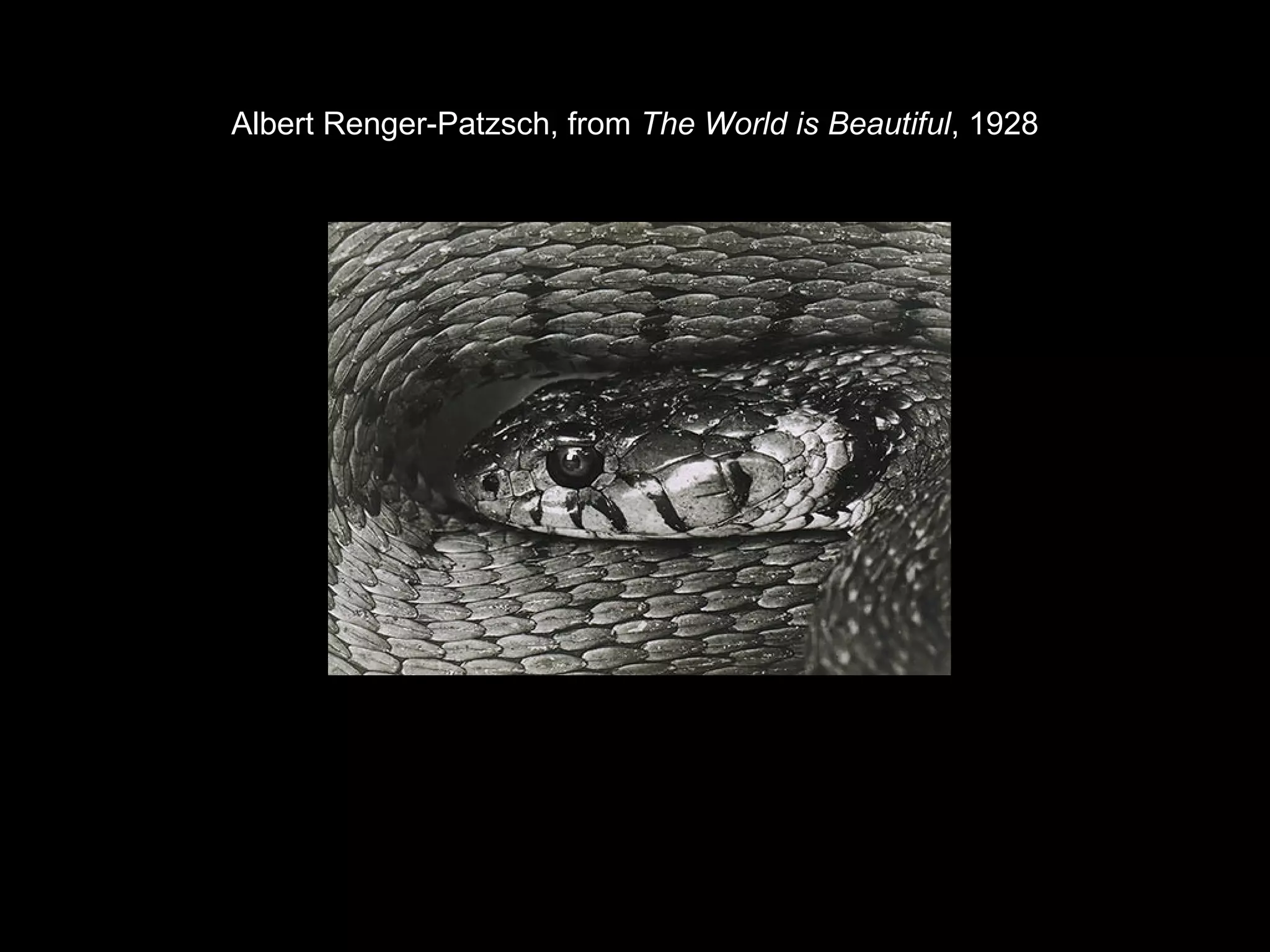 Albert Renger-Patzsch, from The World is Beautiful, 1928 
 