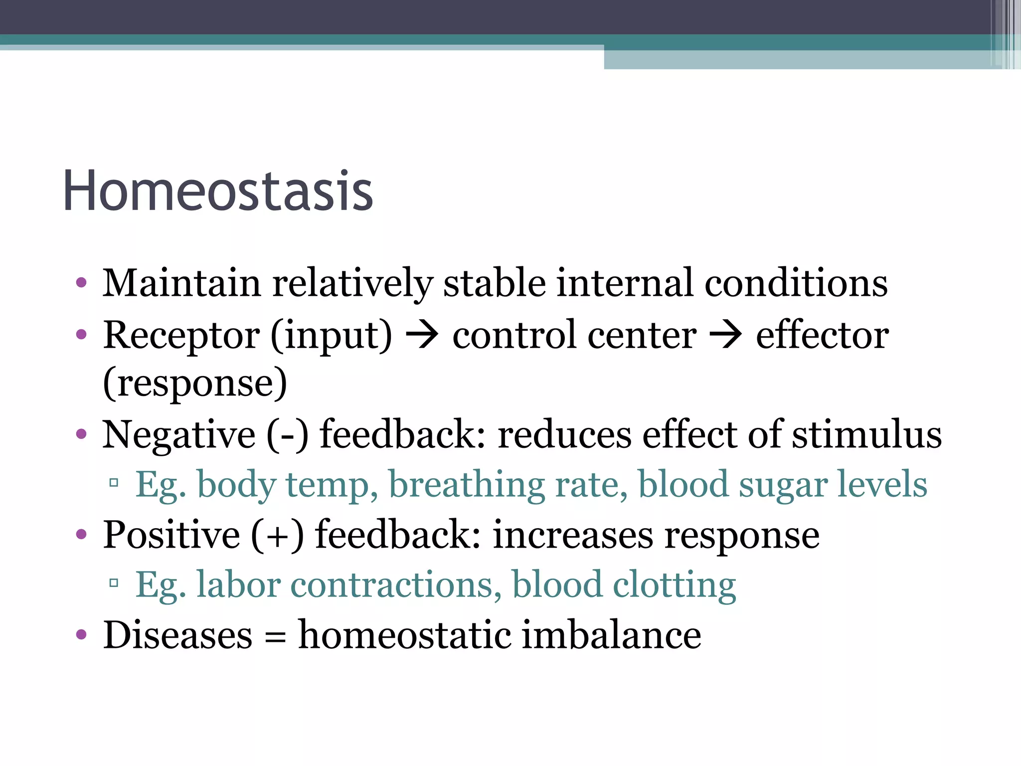 Homeostasis 
• Maintain relatively stable internal conditions 
• Receptor (input)  control center  effector 
(response) 
• Negative (-) feedback: reduces effect of stimulus 
▫ Eg. body temp, breathing rate, blood sugar levels 
• Positive (+) feedback: increases response 
▫ Eg. labor contractions, blood clotting 
• Diseases = homeostatic imbalance 
 