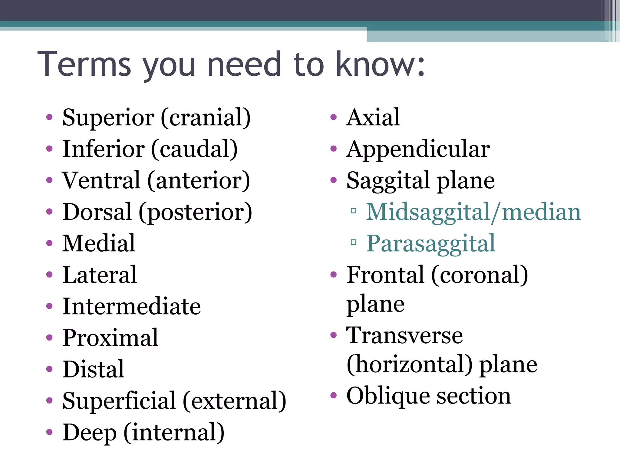 Terms you need to know: 
• Superior (cranial) 
• Inferior (caudal) 
• Ventral (anterior) 
• Dorsal (posterior) 
• Medial 
• Lateral 
• Intermediate 
• Proximal 
• Distal 
• Superficial (external) 
• Deep (internal) 
• Axial 
• Appendicular 
• Saggital plane 
▫ Midsaggital/median 
▫ Parasaggital 
• Frontal (coronal) 
plane 
• Transverse 
(horizontal) plane 
• Oblique section 
 