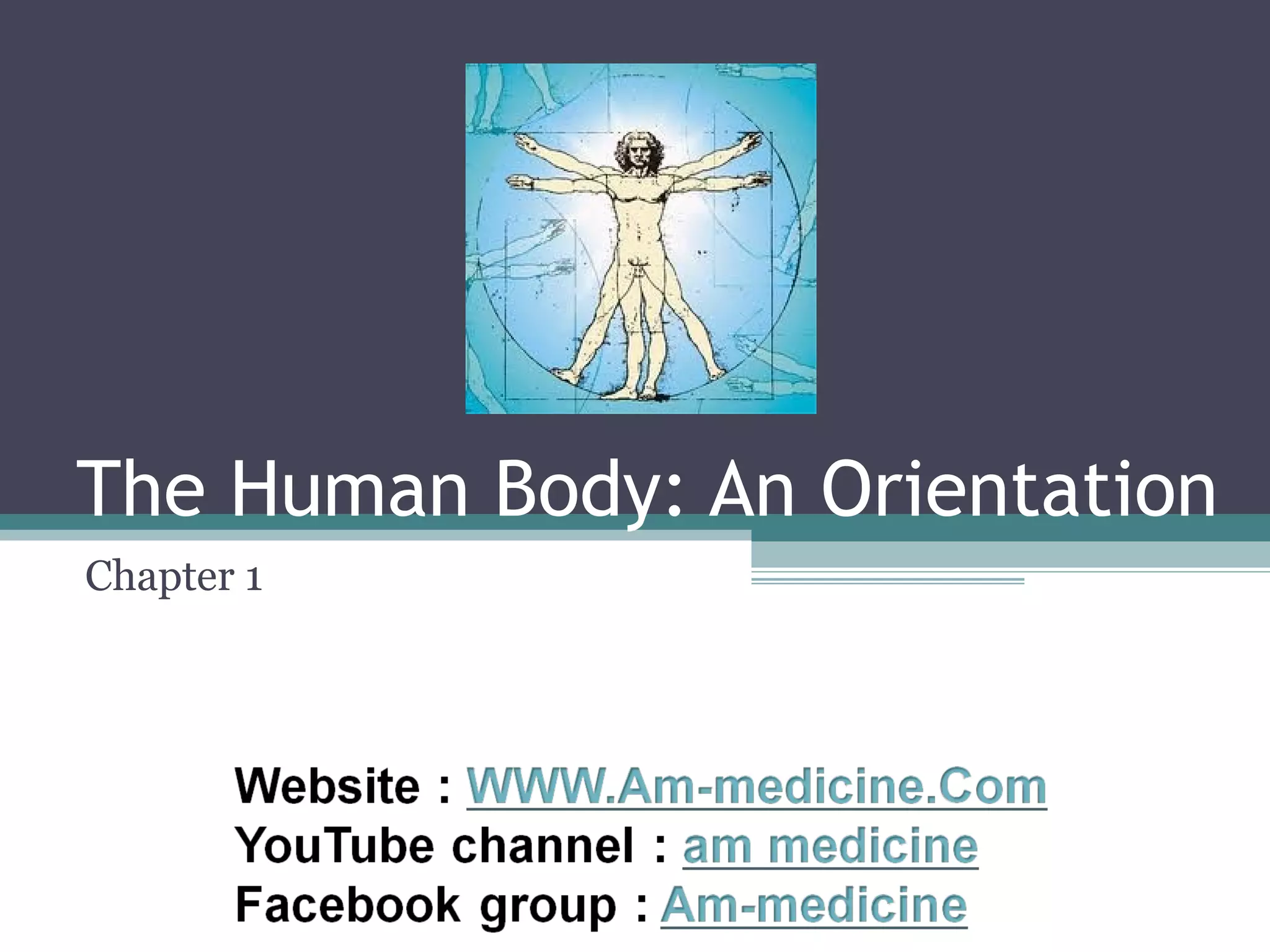 The Human Body: An Orientation 
Chapter 1 
 