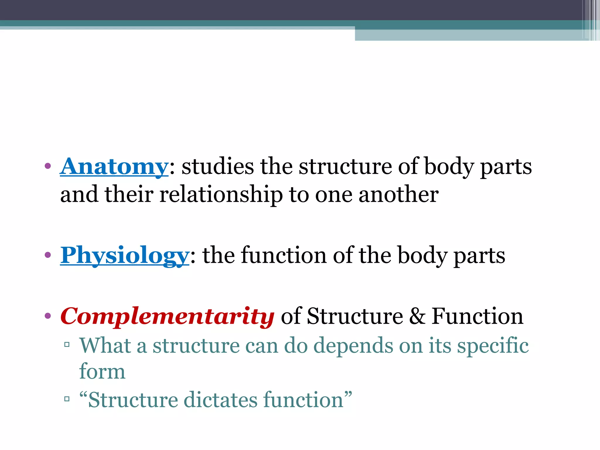 • Anatomy: studies the structure of body parts 
and their relationship to one another 
• Physiology: the function of the body parts 
• Complementarity of Structure & Function 
▫ What a structure can do depends on its specific 
form 
▫ “Structure dictates function” 
 