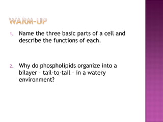 1. Name the three basic parts of a cell and 
describe the functions of each. 
2. Why do phospholipids organize into a 
bilayer – tail-to-tail – in a watery 
environment? 
 