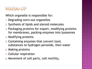 Which organelle is responsible for: 
1. Degrading worn-out organelles 
2. Synthesis of lipids and steroid molecules 
3. Packaging proteins for export, modifying proteins 
for membranes, packing enzymes into lysosomes 
4. Modifying proteins 
5. Containing enzymes that convert toxic 
substances to hydrogen peroxide, then water 
6. Making proteins 
7. Cellular respiration 
8. Movement of cell parts, cell motility, 
 