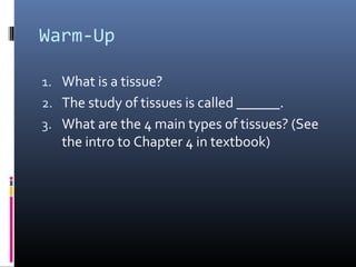 Warm-Up
1. What is a tissue?
2. The study of tissues is called ______.
3. What are the 4 main types of tissues? (See
the intro to Chapter 4 in textbook)
 