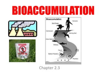 BIOACCUMULATION 
Chapter 2.3 
 