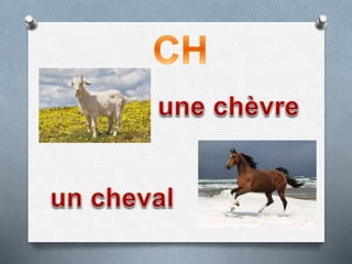 Буквосочетание Ch