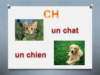 Буквосочетание Ch