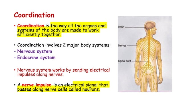 CH-14+PART+1.pdf CH-14+PART+1.pdf CH-14+PART+1.pdf