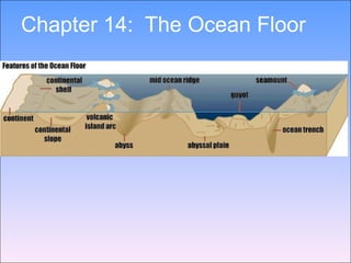 Chapter 14:  The Ocean Floor 