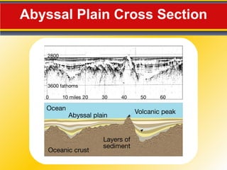 Abyssal Plain Cross Section 