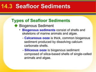 14.3   Seafloor Sediments     Biogenous Sediment Biogenous sediments  consist of shells and skeletons of marine animals and algae. -  Calcareous ooze  is thick, common biogenous sediment produced by dissolving calcium carbonate shells. -  Siliceous ooze  is biogenous sediment composed of silica-based shells of single-celled animals and algae. Types of Seafloor Sediments 
