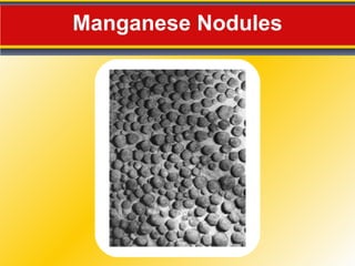 Manganese Nodules 