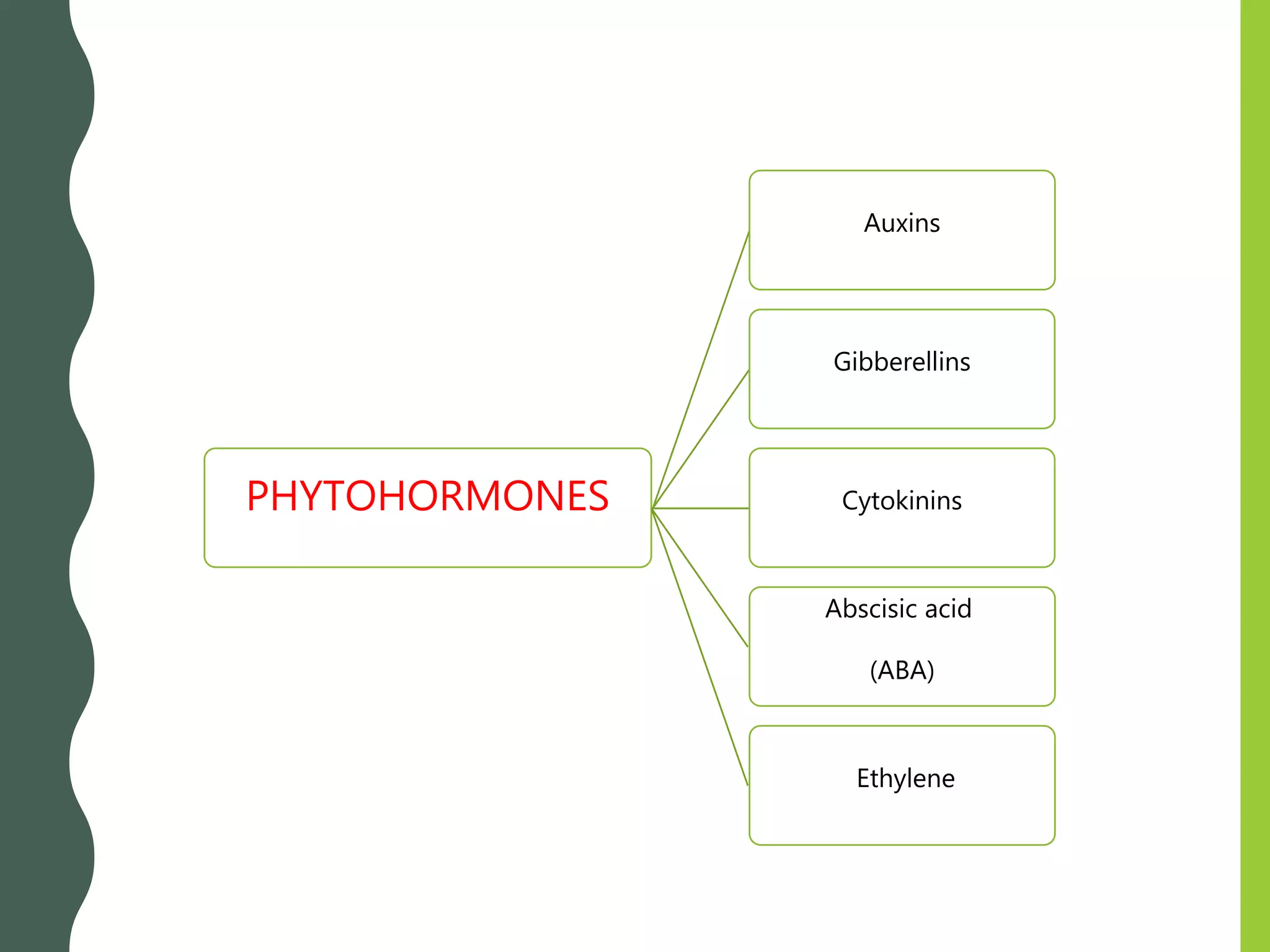 PHYTOHORMONES
Auxins
Gibberellins
Cytokinins
Abscisic acid
(ABA)
Ethylene
 