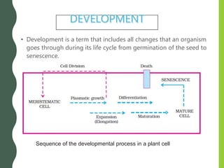 • Development is a term that includes all changes that an organism
goes through during its life cycle from germination of the seed to
senescence.
Sequence of the developmental process in a plant cell
 