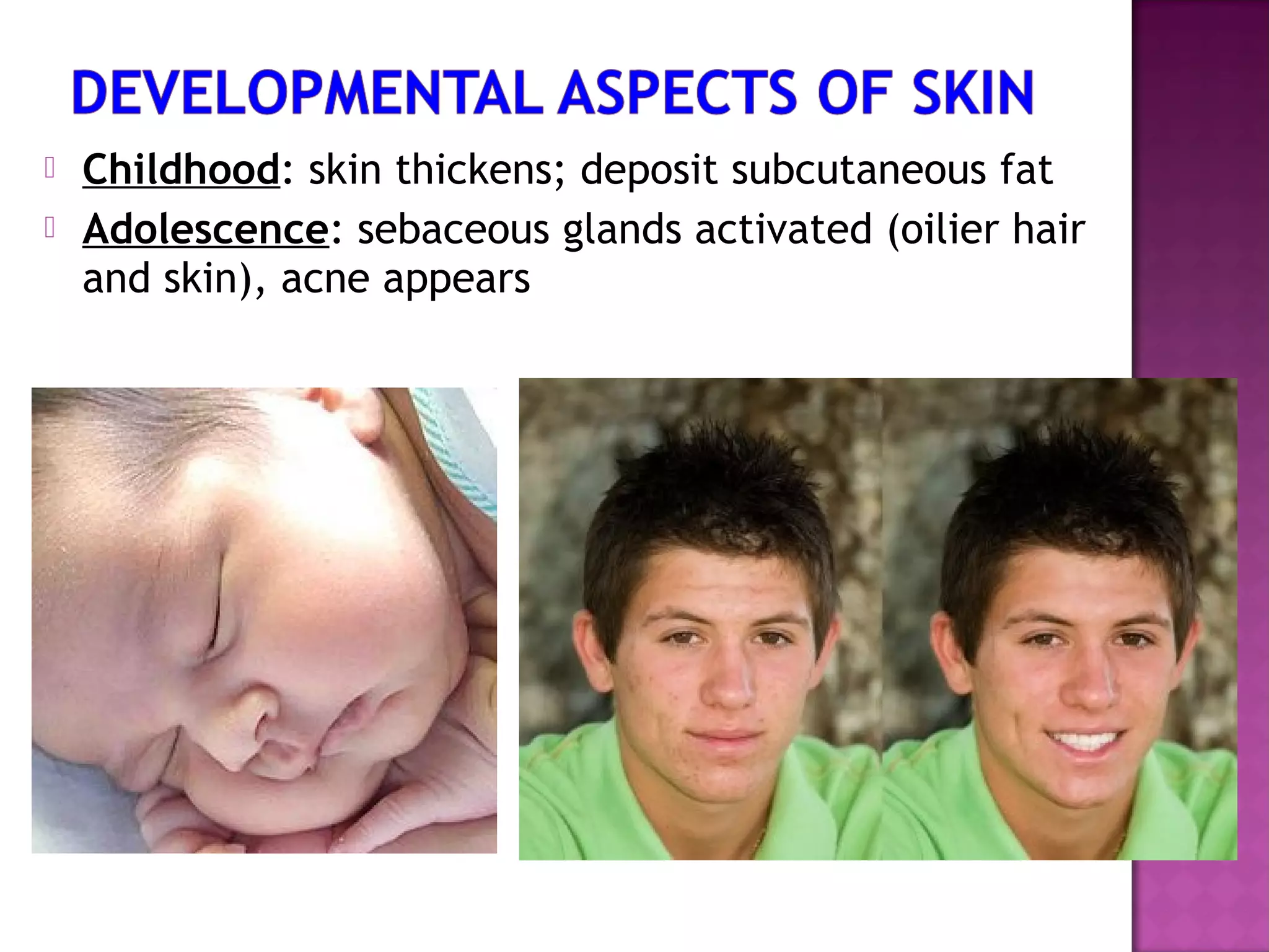  Childhood: skin thickens; deposit subcutaneous fat
 Adolescence: sebaceous glands activated (oilier hair
and skin), acne appears
 