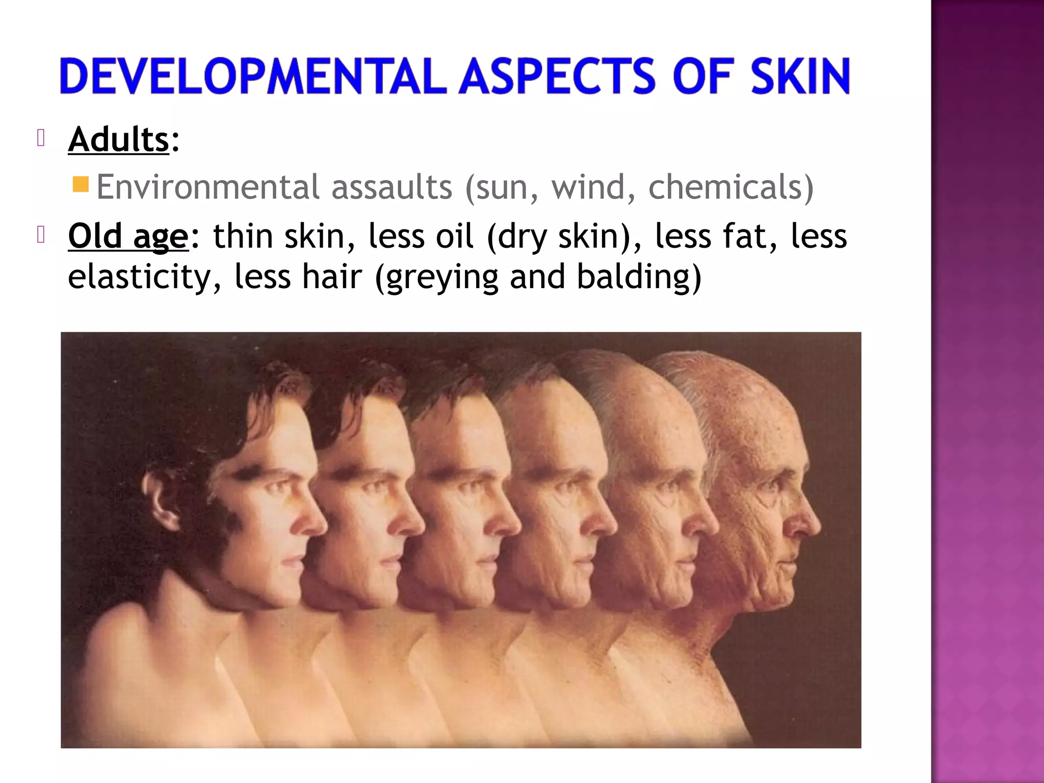  Adults:
Environmental assaults (sun, wind, chemicals)
 Old age: thin skin, less oil (dry skin), less fat, less
elasticity, less hair (greying and balding)
 