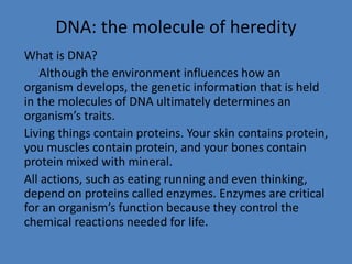 DNA: the molecule of heredity
What is DNA?
Although the environment influences how an
organism develops, the genetic information that is held
in the molecules of DNA ultimately determines an
organism’s traits.
Living things contain proteins. Your skin contains protein,
you muscles contain protein, and your bones contain
protein mixed with mineral.
All actions, such as eating running and even thinking,
depend on proteins called enzymes. Enzymes are critical
for an organism’s function because they control the
chemical reactions needed for life.
 