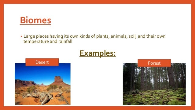what are biomes
