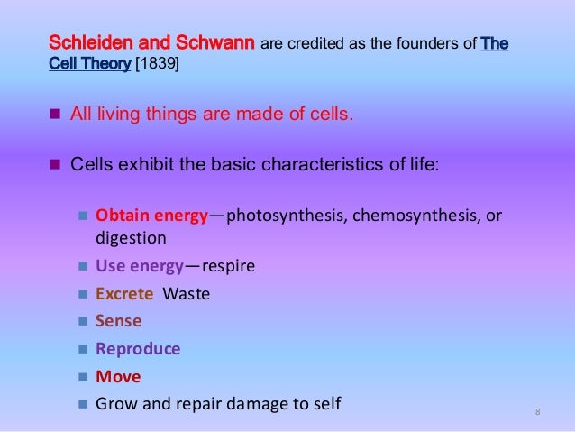 an organism that carries on chemosynthesis an organism that carries on chemosynthesis