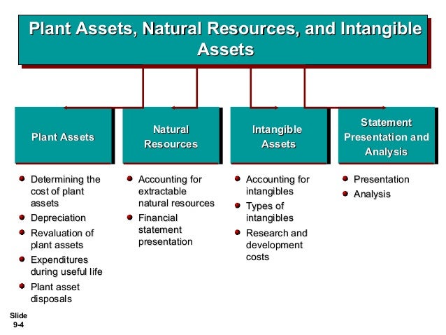 Aset Tetap Sumber Daya Alam Dan Aset Tak Berwujud