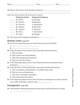 ©PearsonEducation,Inc.Allrightsreserved.
Name______________________________ Class__________________ Date ______________
10. What is the function of the parathyroid glands? Their function is to regulate the level of
calcium in the blood.
Match the endocrine gland with the hormone it produces.
Endocrine Gland
b 11. Pineal
d 12. Thyroid
a 13. Pancreas
e 14. Thymus
c 15. Adrenal
g 16. Ovary
f 17. Testis
18. The hormone that regulates metabolism is .
Hormone Action (page 999)
19. List the two general groups into which hormones may be classified.
a.
b.
20. Circle the letter of each sentence that is true about steroid hormones.
a. They are lipids.
b. They cannot cross cell membranes.
c. They help regulate gene expression.
d. They can enter the nucleus.
21. Is the following sentence true or false? Steroid hormones are produced from
cholesterol.
22. Circle the letter of each sentence that is true about nonsteroid hormones.
a. They are proteins, small peptides, or modified amino acids.
b. They can cross cell membranes.
c. They rely on secondary messengers.
d. They cannot enter the nucleus.
23. Is the following sentence true or false? Secondary messengers may include calcium
ions, cAMP, nucleotides, and fatty acids.
Prostaglandins (page 1000)
24. Hormonelike substances produced by other kinds of cells and tissues are called
.prostaglandins
true
true
Nonsteroid hormones
Steroid hormones
thyroxine
Hormone It Produces
a. Glucagon
b. Melatonin
c. Epinephrine
d. Thyroxine
e. Thymosin
f. Testosterone
g. Estrogen
BIO_ALL IN1_StGd_tese_ch39 8/7/03 4:40 PM Page 552
 