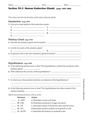 Ch. 39 2 glands and hormones WS | PDF