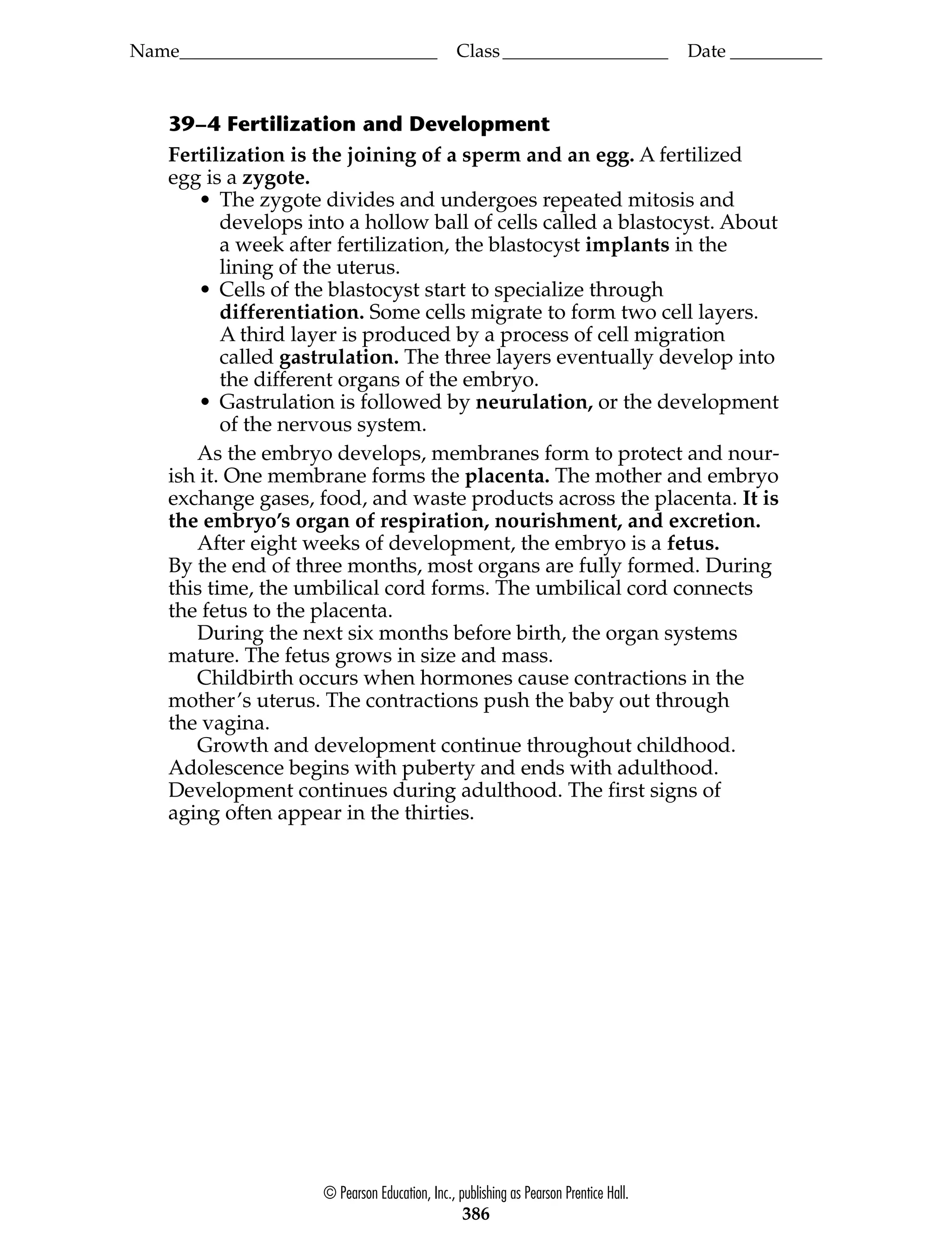 Name____________________________ Class__________________ Date __________
39–4 Fertilization and Development
Fertilization is the joining of a sperm and an egg. A fertilized
egg is a zygote.
• The zygote divides and undergoes repeated mitosis and
develops into a hollow ball of cells called a blastocyst. About
a week after fertilization, the blastocyst implants in the
lining of the uterus.
• Cells of the blastocyst start to specialize through
differentiation. Some cells migrate to form two cell layers.
A third layer is produced by a process of cell migration
called gastrulation. The three layers eventually develop into
the different organs of the embryo.
• Gastrulation is followed by neurulation, or the development
of the nervous system.
As the embryo develops, membranes form to protect and nour-
ish it. One membrane forms the placenta. The mother and embryo
exchange gases, food, and waste products across the placenta. It is
the embryo’s organ of respiration, nourishment, and excretion.
After eight weeks of development, the embryo is a fetus.
By the end of three months, most organs are fully formed. During
this time, the umbilical cord forms. The umbilical cord connects
the fetus to the placenta.
During the next six months before birth, the organ systems
mature. The fetus grows in size and mass.
Childbirth occurs when hormones cause contractions in the
mother’s uterus. The contractions push the baby out through
the vagina.
Growth and development continue throughout childhood.
Adolescence begins with puberty and ends with adulthood.
Development continues during adulthood. The first signs of
aging often appear in the thirties.
© Pearson Education, Inc., publishing as Pearson Prentice Hall.
386
 
