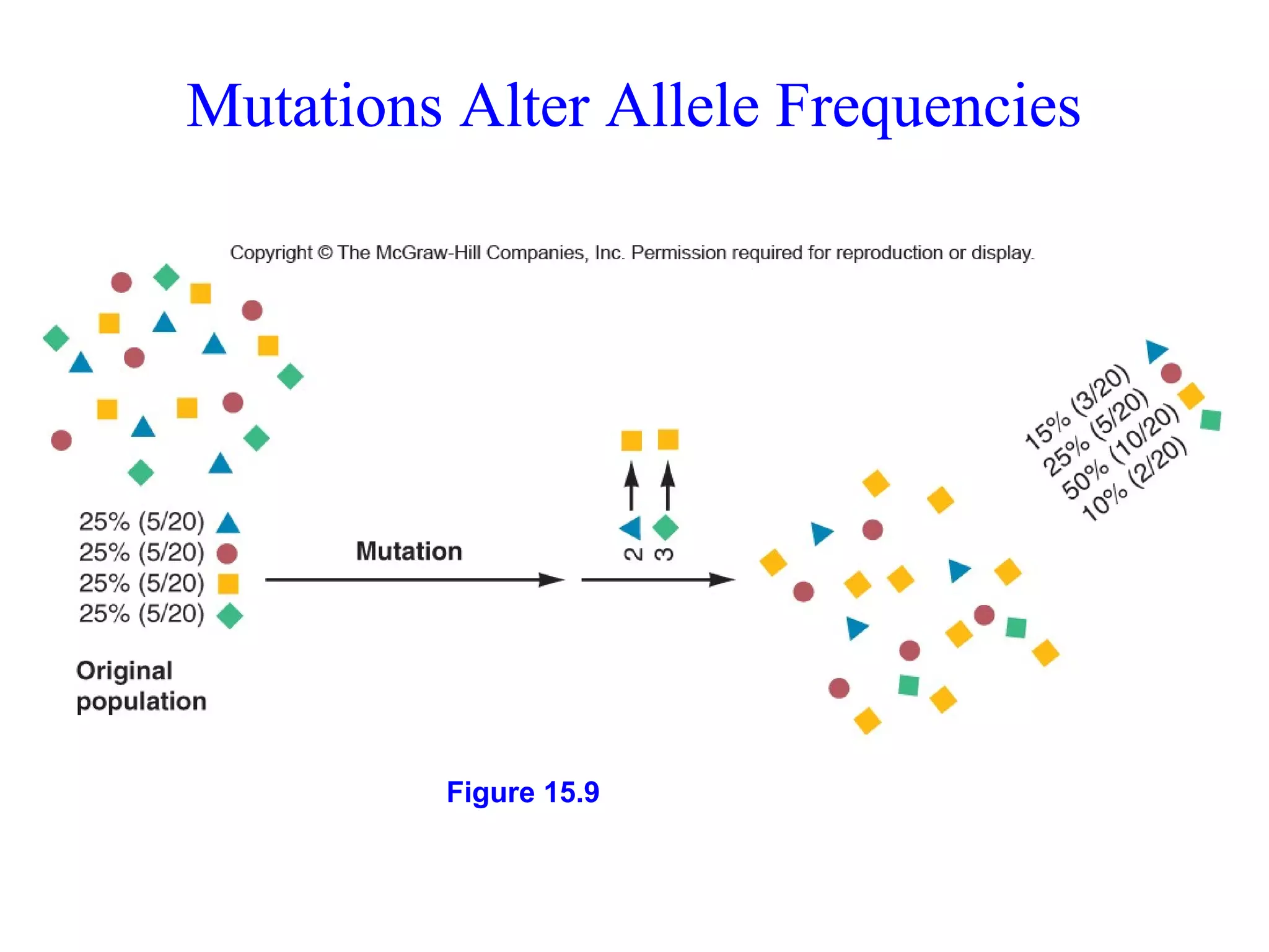 Mutations Alter Allele FrequenciesMutations Alter Allele Frequencies
Figure 15.9
 