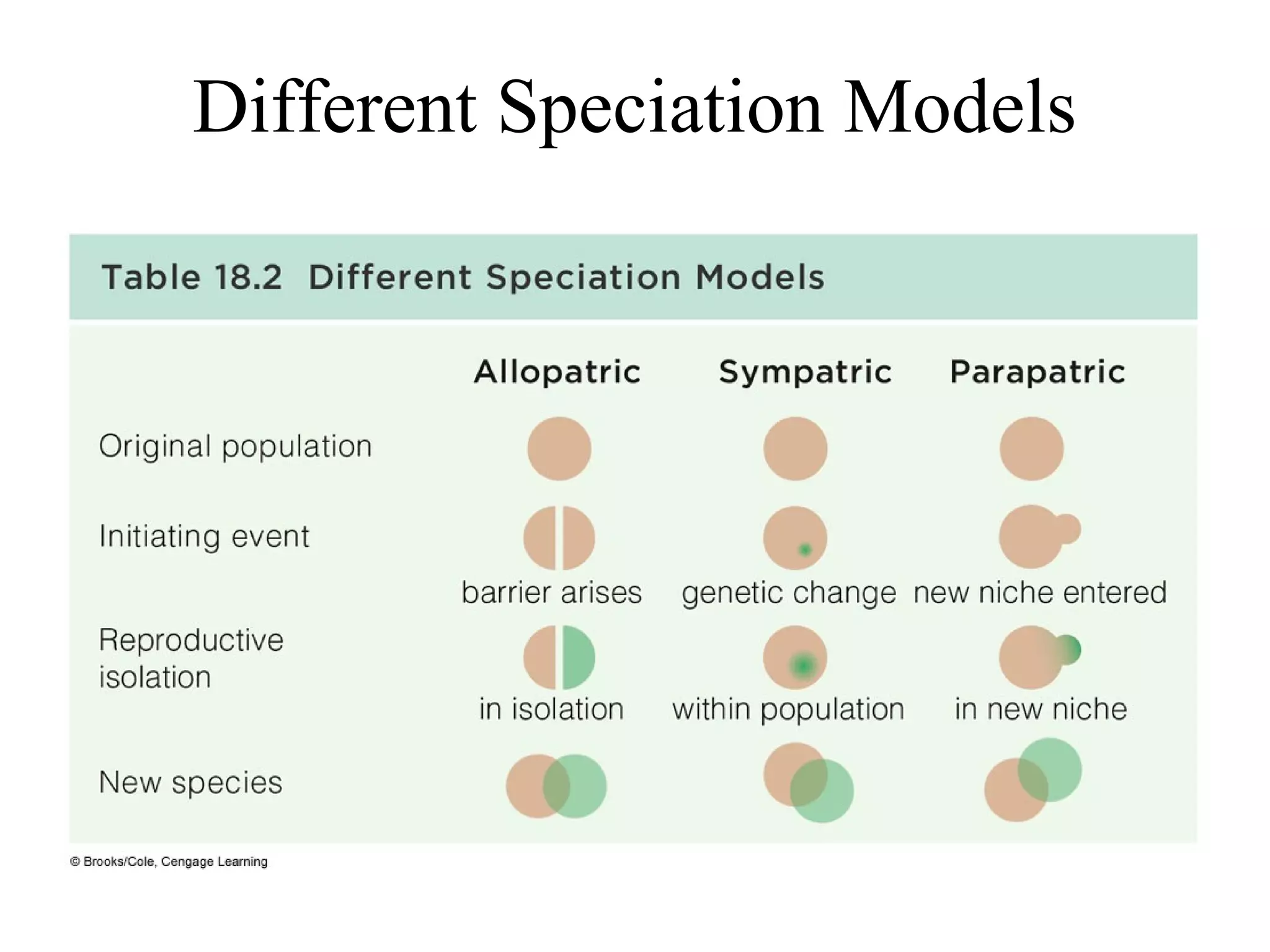 Different Speciation Models
 