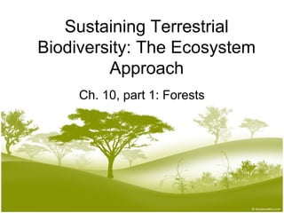 Sustaining Terrestrial
Biodiversity: The Ecosystem
Approach
Ch. 10, part 1: Forests
 