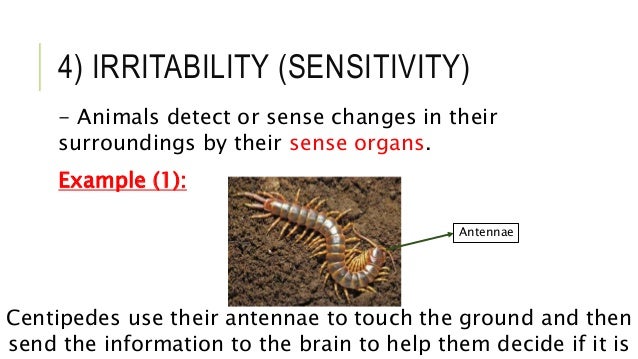 A dissertation on the sensible and irritable parts of animals