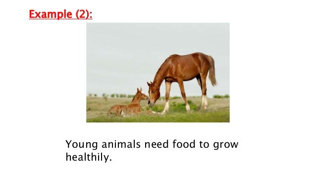 A dissertation on the sensible and irritable parts of animals