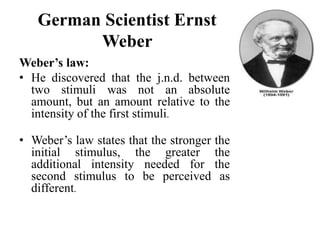 German Scientist Ernst
Weber
Weber’s law:
• He discovered that the j.n.d. between
two stimuli was not an absolute
amount, but an amount relative to the
intensity of the first stimuli.
• Weber’s law states that the stronger the
initial stimulus, the greater the
additional intensity needed for the
second stimulus to be perceived as
different.
 