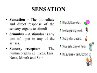 SENSATION
• Sensation – The immediate
and direct response of the
sensory organs to stimuli
• Stimulus – A stimulus is any
unit of input to any of the
senses.
• Sensory receptors – The
human organs i.e. Eyes, Ears,
Nose, Mouth and Skin
 