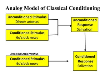 Unconditioned Stimulus
Dinner aromas
Conditioned Stimulus
6o’clock news
Conditioned Stimulus
6o’clock news
Unconditioned
Response
Salivation
Conditioned
Response
Salivation
Analog Model of Classical Conditioning
AFTER REPEATED PAIRINGS
 
