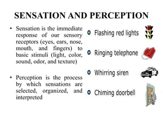 SENSATION AND PERCEPTION
• Sensation is the immediate
response of our sensory
receptors (eyes, ears, nose,
mouth, and fingers) to
basic stimuli (light, color,
sound, odor, and texture)
• Perception is the process
by which sensations are
selected, organized, and
interpreted
 