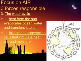 Focus on AIR
3 forces responsible
3. The water cycle
◊ heat from the sun
evaporates ocean water
and transfers it to air
◊ this creates convection
cells that circulate heat,
air, and moisture
 